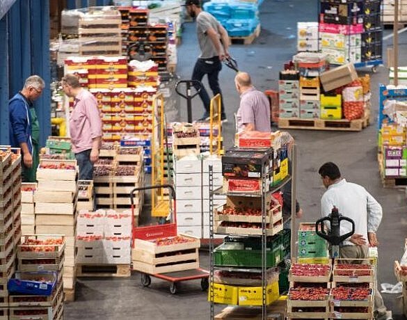 Händler und Mitarbeiter in der Großmarkthalle